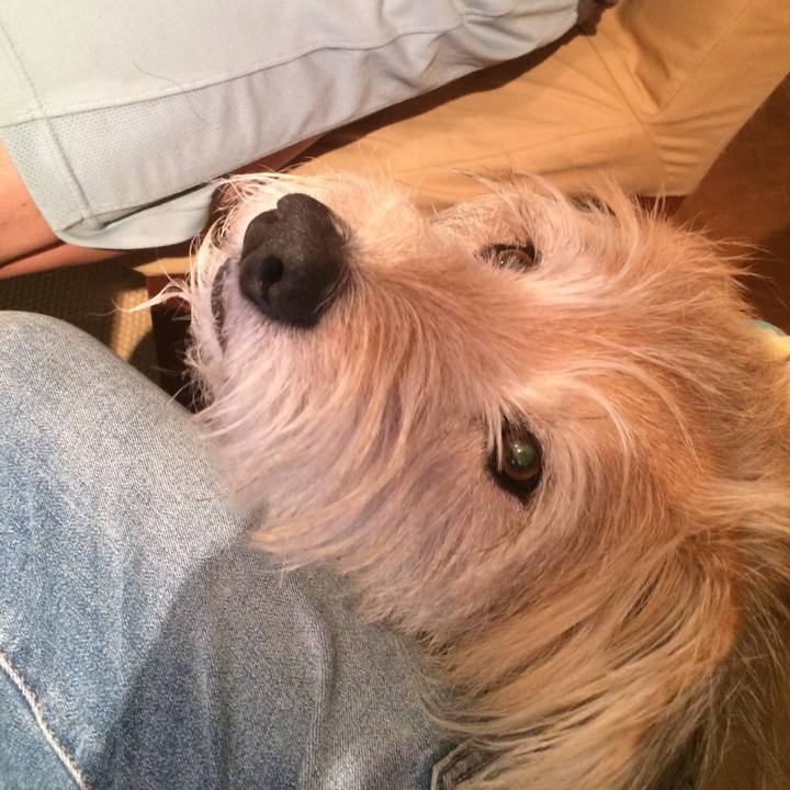 A41546df 72f4 416a bdb1 78f2ce4c5685