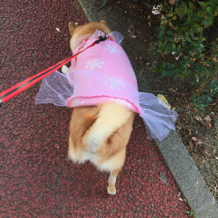 A415b1ef 6886 4da5 aac6 ad452deb4b48