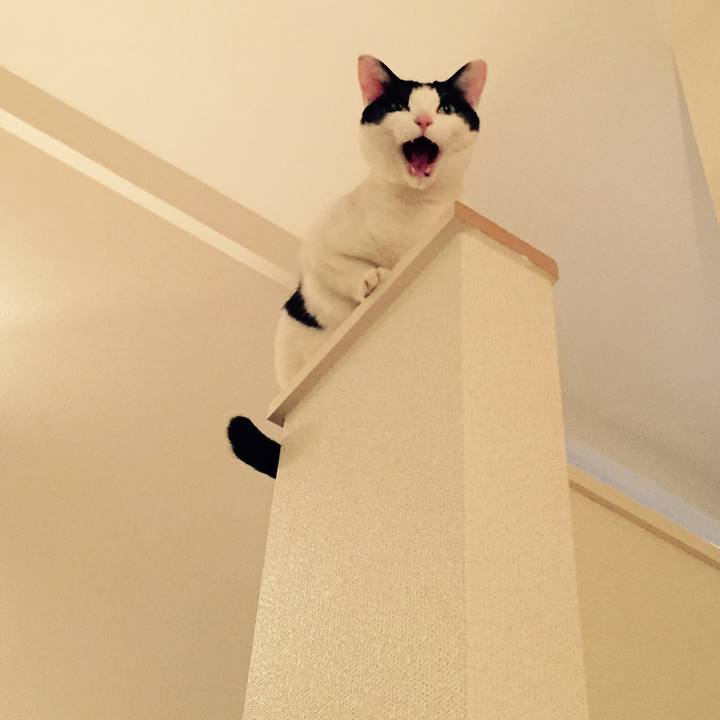 A415c2cc 6338 4ea8 ba75 2df1c3e04f26