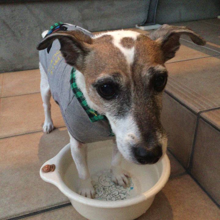 A4161b20 a8e3 4704 8c3e 6f45f198e876