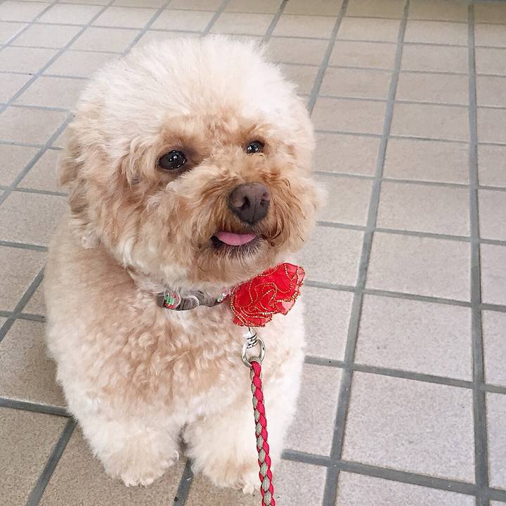 A4161c1a e794 4c54 a96c 39be374eb1cd