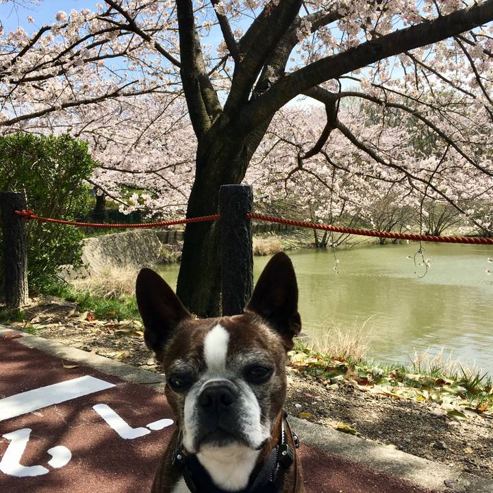 A416b3c3 9bc1 4410 855e b3e0aacf9de3