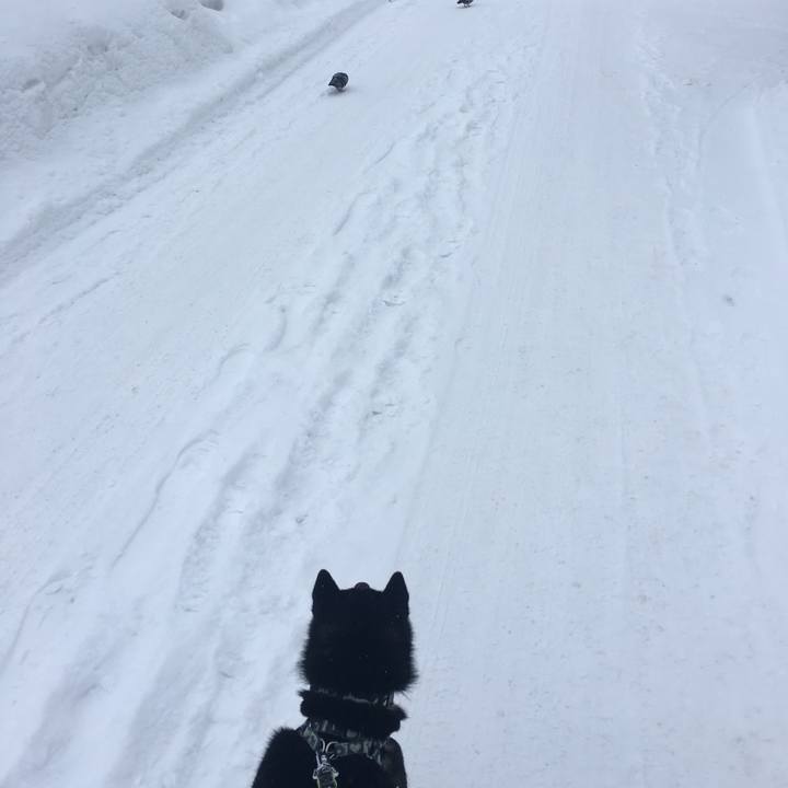 A4174df5 49d9 45d1 9190 4ff90c761198