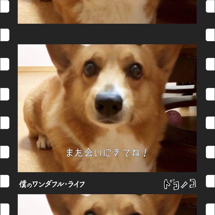 A417a093 f79d 4e55 93c9 c998526f6b4e