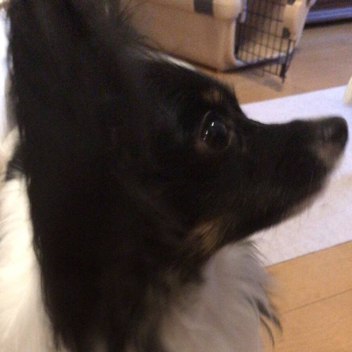 A417ec15 3ccc 4240 8b77 4a3ff7830a26