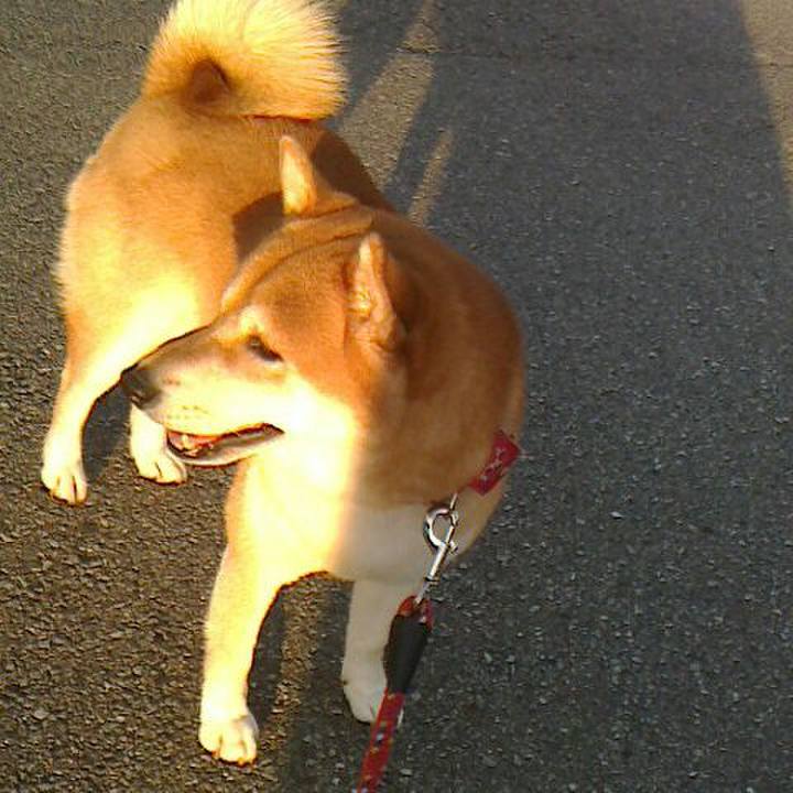 A41867b3 c4ca 4100 83c2 cba921e9ebce