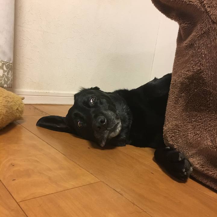 A4190238 2a68 4274 a6b0 cc20bb5568fa