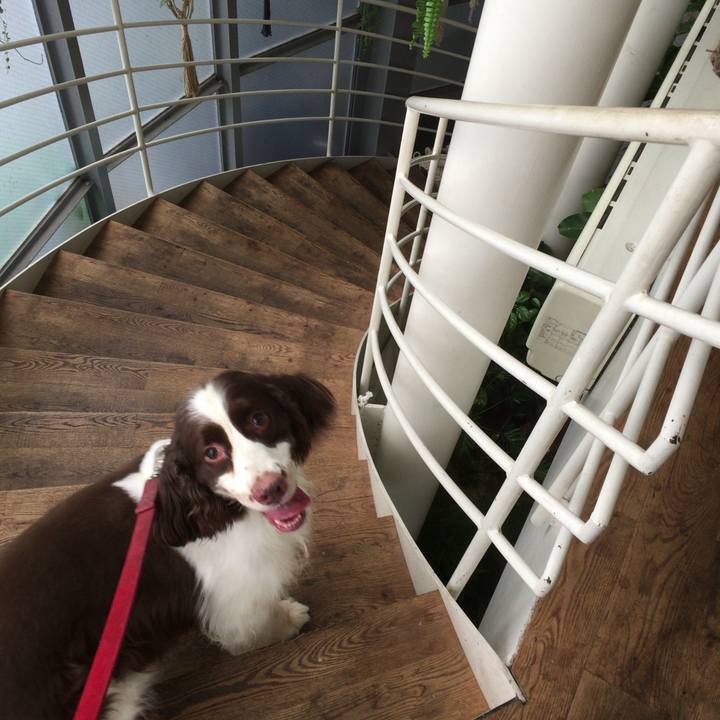 A41955e6 f895 4f17 a0a0 62060ea4ec02