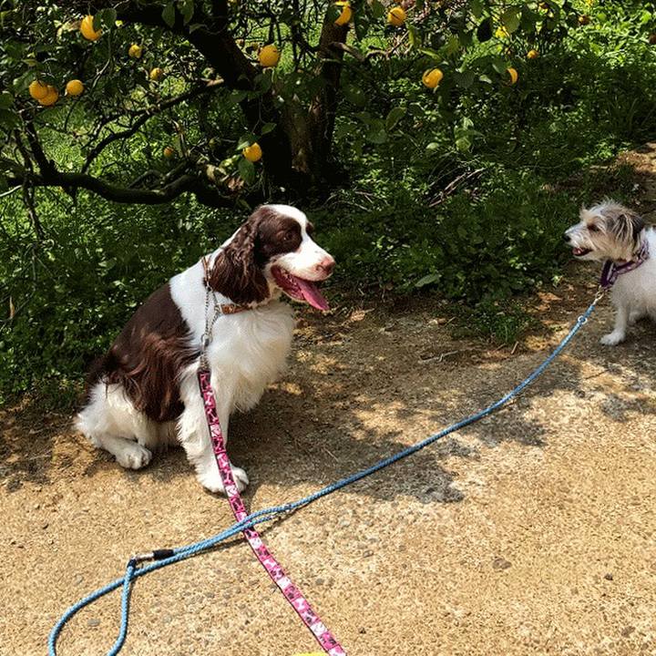 A4196352 800e 4745 81ee eda9aacb9292