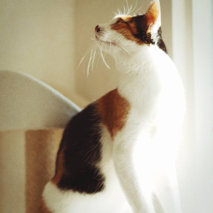 A41a4013 2b55 4140 a4bb d4d8c090d1b4