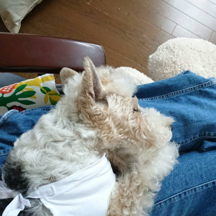 A41a4969 632a 4f4f 8eac 4945e0fcd99d