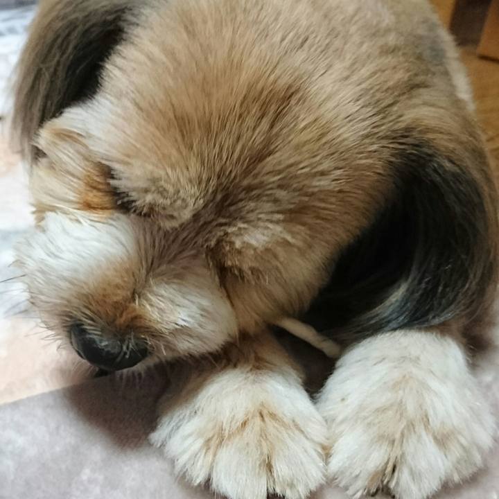 A41b4e95 fdb4 484e b392 eba98b9eed05