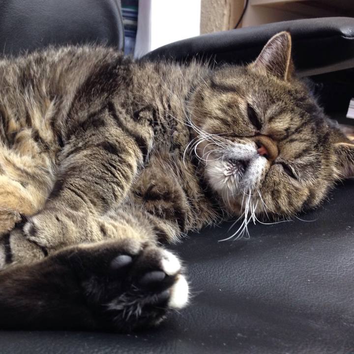 A41b665a d86e 4dda bfb9 35cdb6ed0df2