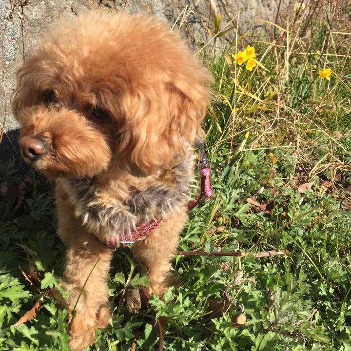 A41b8d53 ea74 4860 ade1 b5e866c781c0