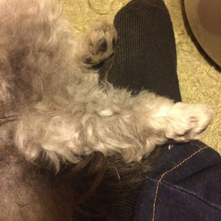 A41c3585 462e 4c5e b577 9538fb1b779f