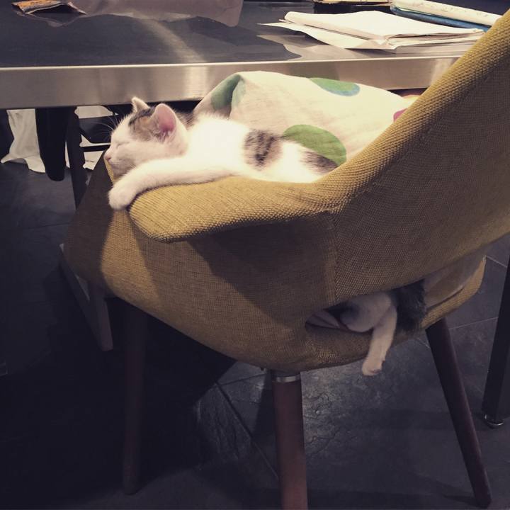 A41c371d 0840 4748 821d 8ba9744de2cd