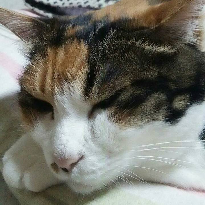 A41c580a b448 4785 a2f2 9f6c26581c05