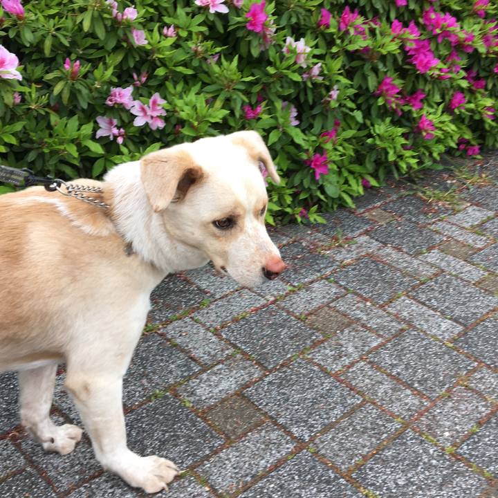 A41ca43e a8eb 4199 9ed2 ce31ad0c607c