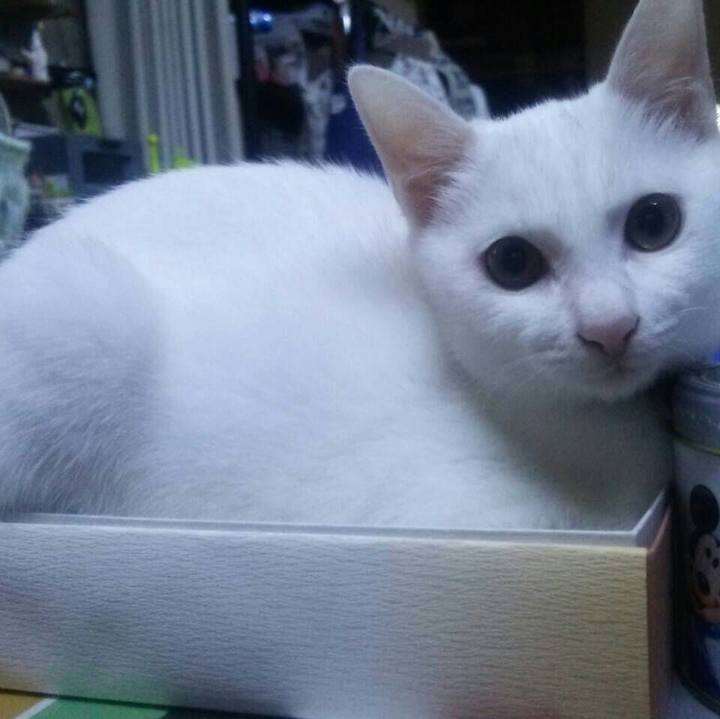 A41cc427 4687 4dd7 afdc fe1160438751