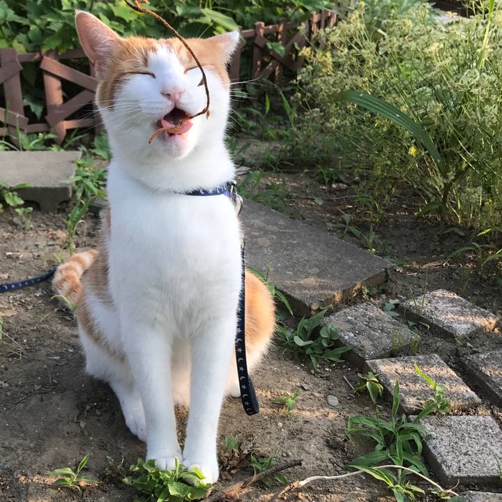 A41dc6c5 9cb4 49b6 aa1e 802a0f89e047