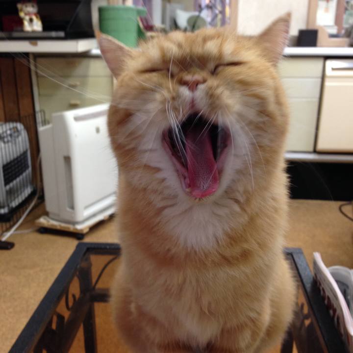 A41eacf3 edd9 48c2 bd7d 8f3c2801102f