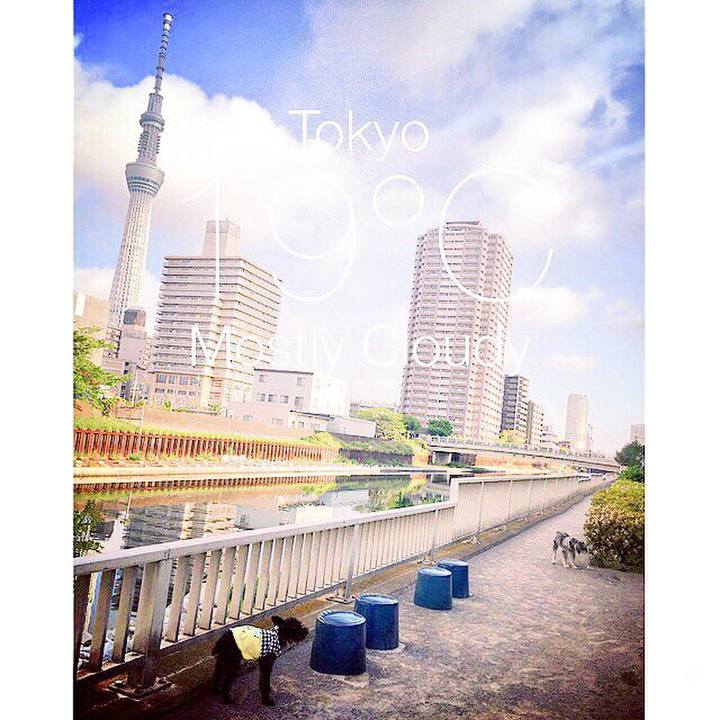 A41eadbe 815b 4787 a433 17c986a2b875