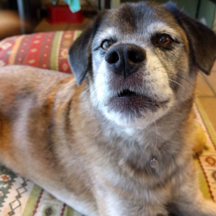 A41ec7ea 22a2 463f afc6 5b32f91c0983