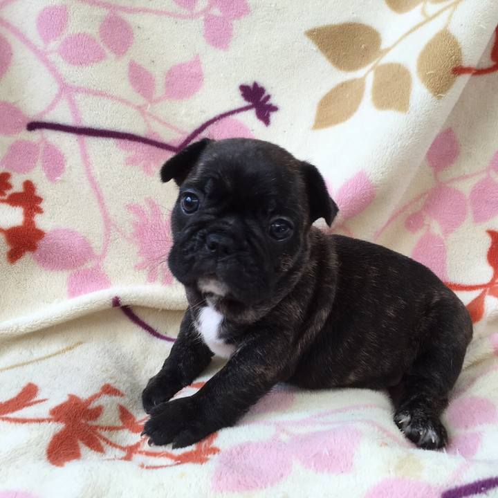 A41f3cc5 333a 4f9e 86cd f20b4bb1998b