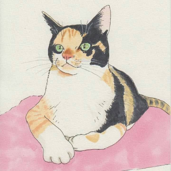 A41f603a 2242 4b49 9aea 6c4133beda3f