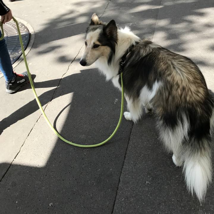 A41fb567 3407 421e a962 a7f2b1e20fbc