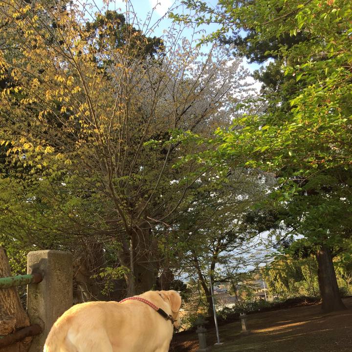 A4202e3c 428f 466c a079 ef8277912064