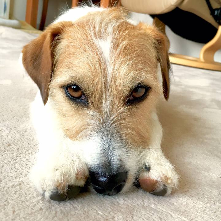 A42078c3 1952 459b 999c c48add42e308