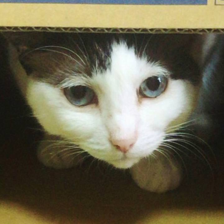 A4208203 4579 4d1f af4a 2225983e79dd