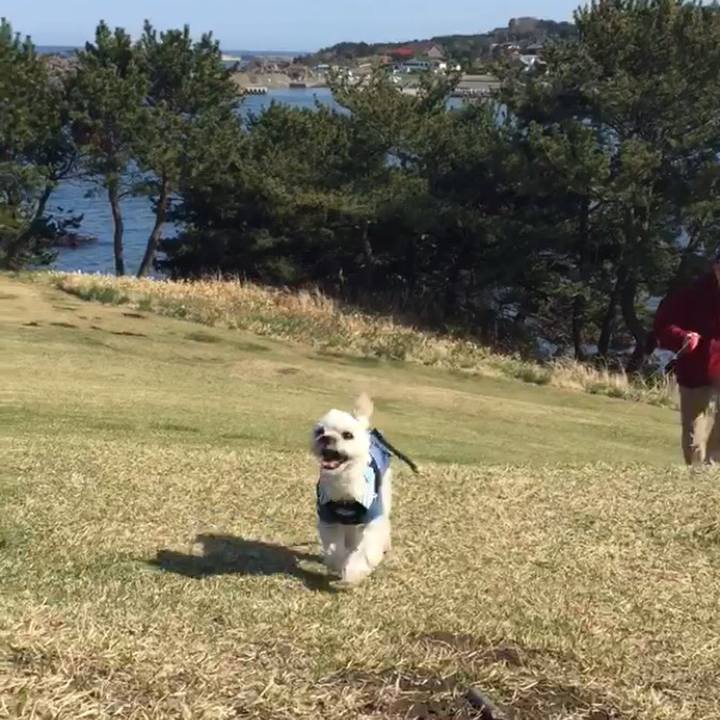 A4208766 d350 4f36 b947 03d0aa3c1e9b