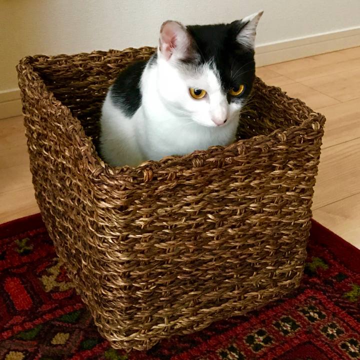 A420d08b 8abc 476e 8336 dc263c6853c2