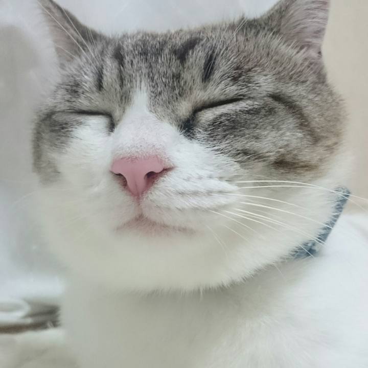 A4211e09 864c 4ee2 b196 ed1b6e9598ad