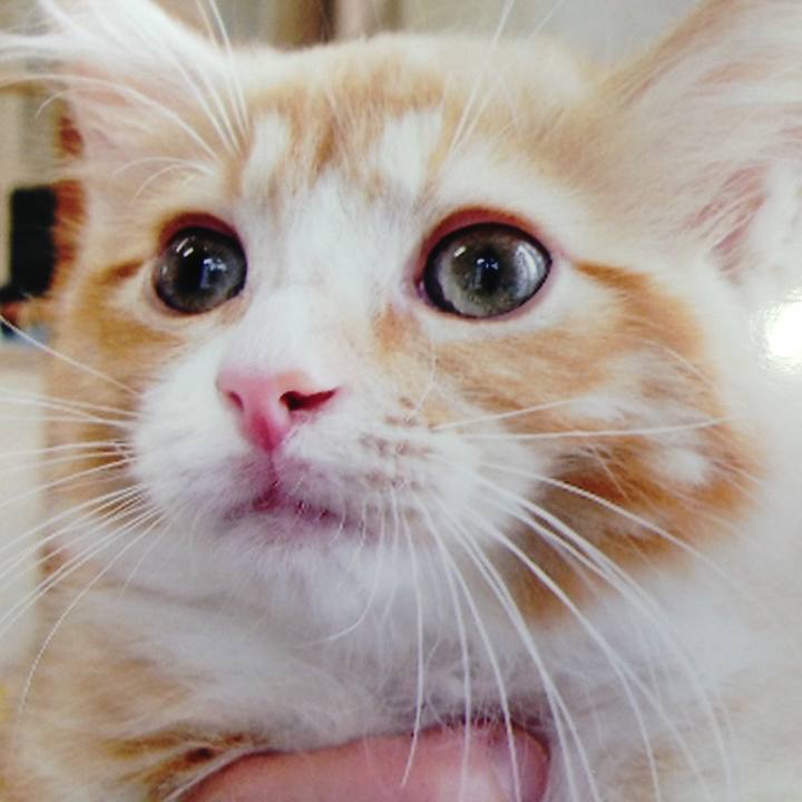 A421604d 057e 462a bbf2 878ef6906ef0