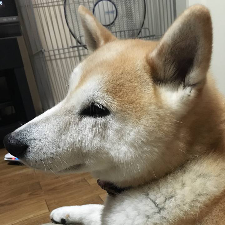 A421b084 3aa6 41fd 9b01 0037c011863f