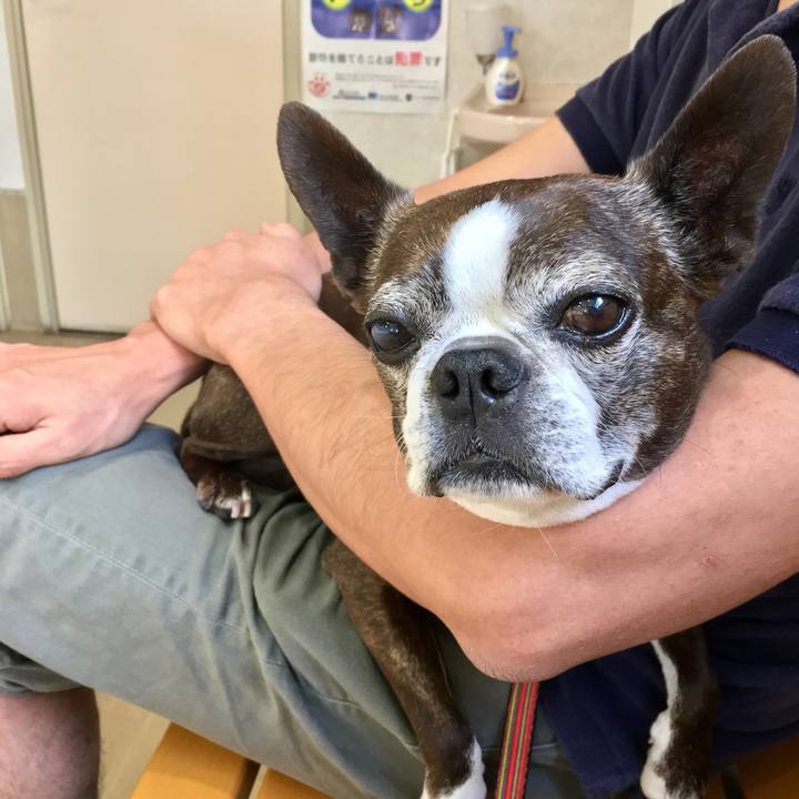 A421f2df f886 4606 874d 29da75de9a1d