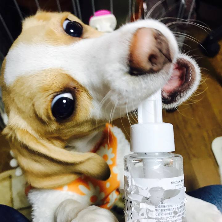 A4228cbf a2ff 4f1a a191 74c314006fa4