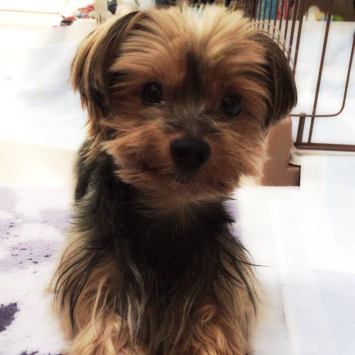 A4232f9e c3fd 4f9a 90a0 c3da5055e378