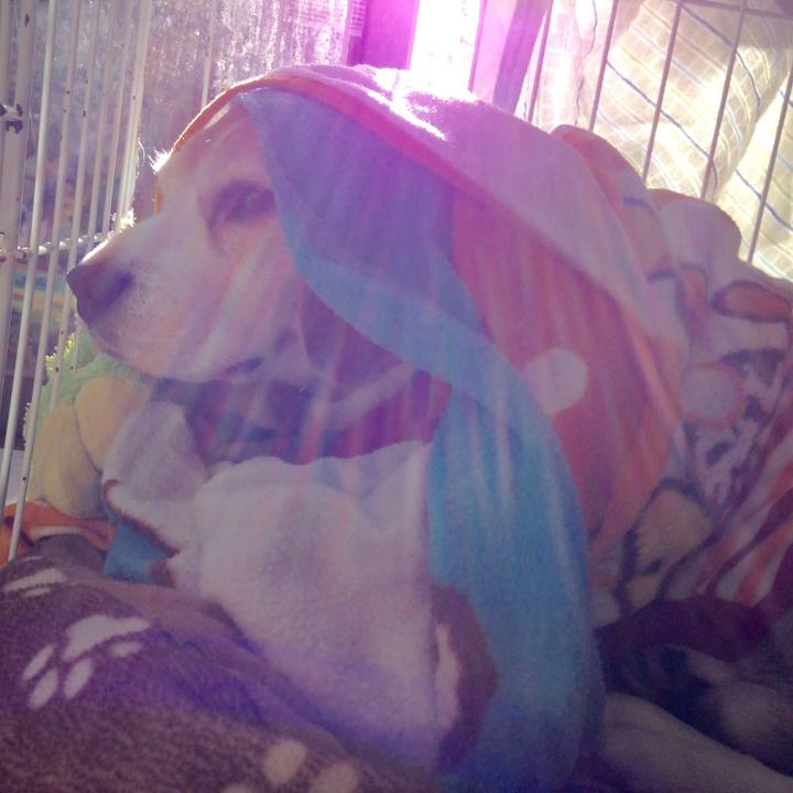 A42392e1 f346 4ced 897e 8df7571c7878