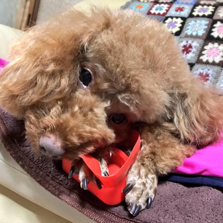 A423a119 386e 49e2 8fdb f08ff45197aa