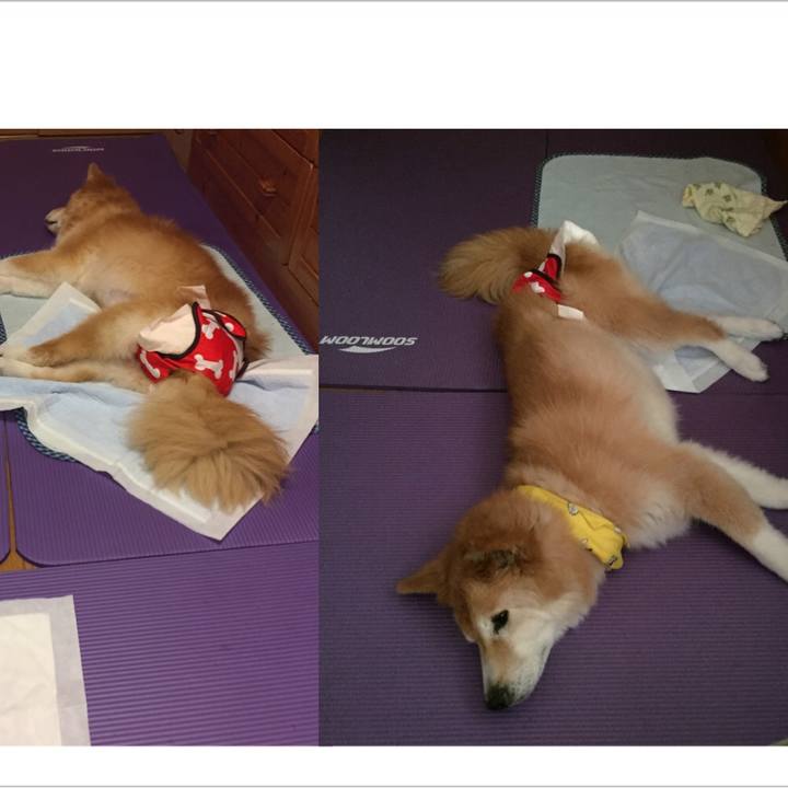 A424075b ffb4 4f4e be4b 7e1f0e908d62