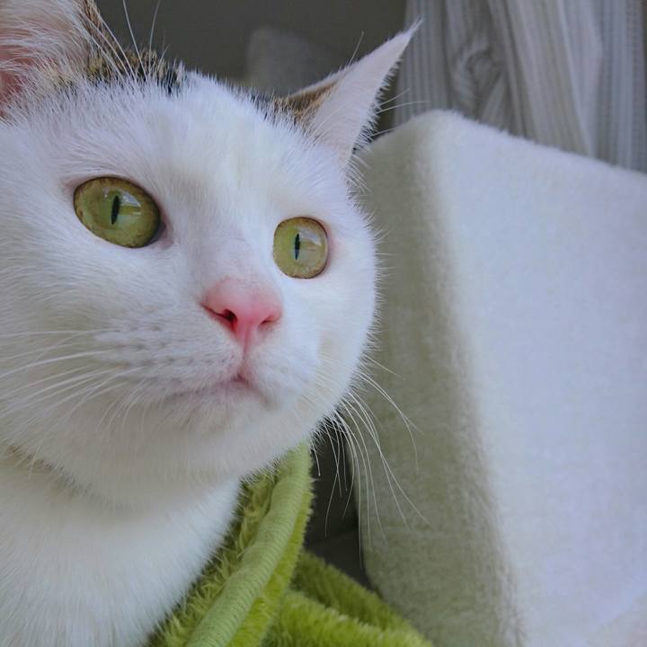 A4243d59 f3e3 4529 8afa 8e08c469659d