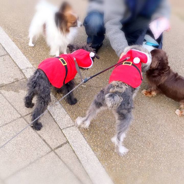 A424604b 6246 4de4 a014 87344129919c