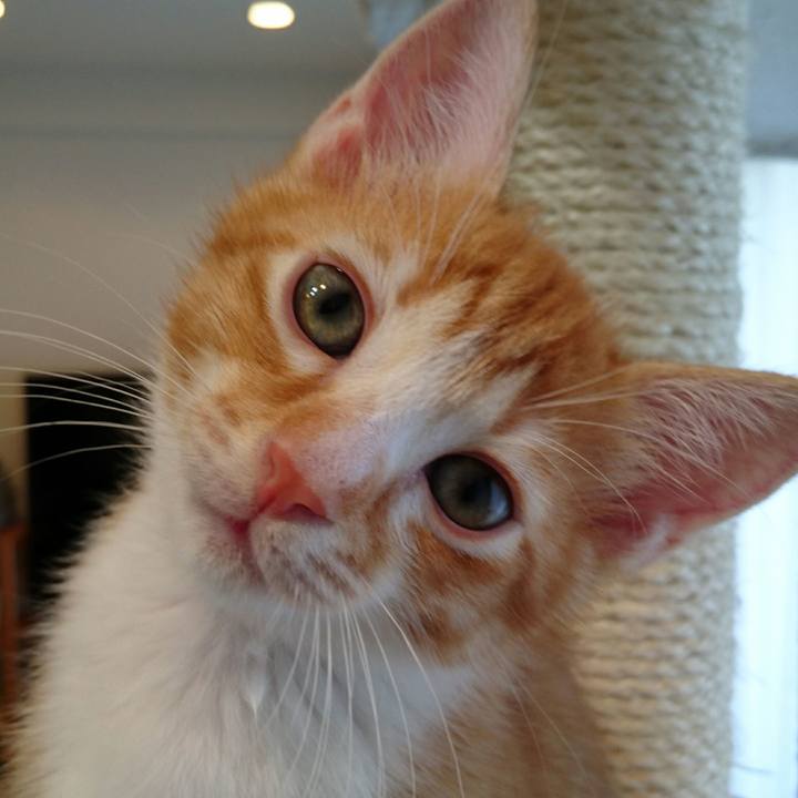 A4246668 2b34 4e3f b137 abe76b26b53c