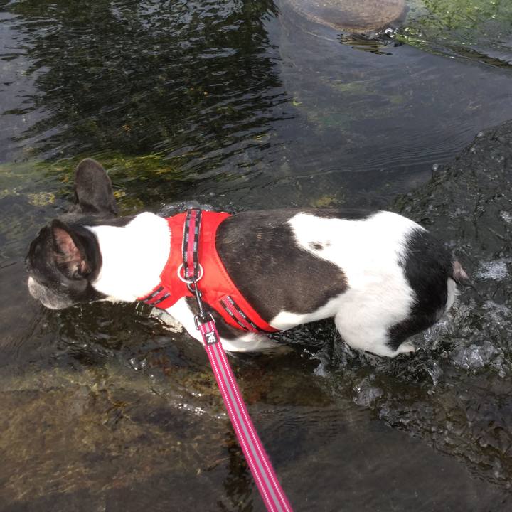 A425c5b5 12b7 47eb 91a3 213464f94c27