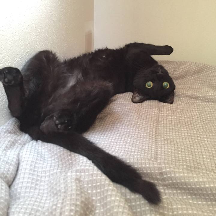 A425d9c6 f1c1 40b7 b4c5 aa325840901d