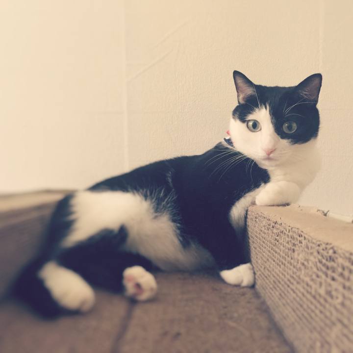 A4263119 a60e 49c1 a09b 3e3c39ffbe21